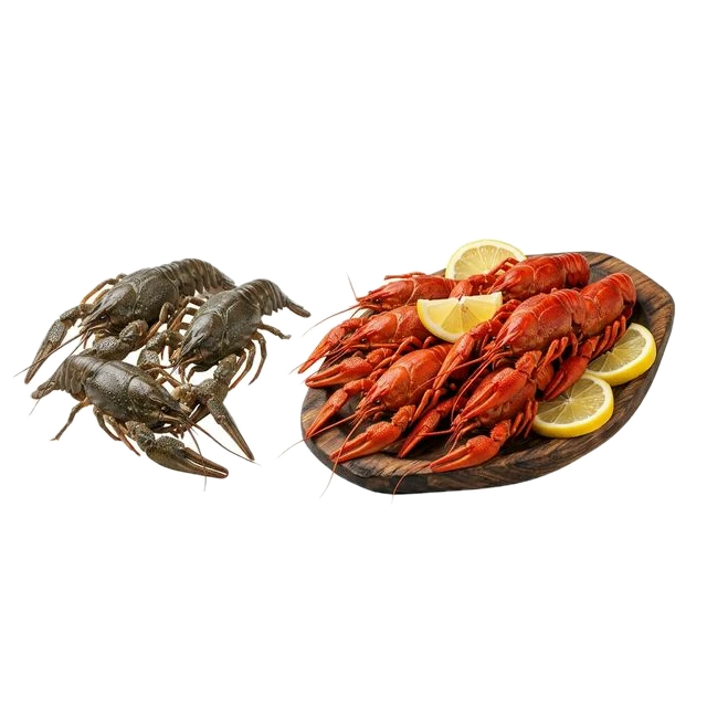 Crayfish, boiled or steamed