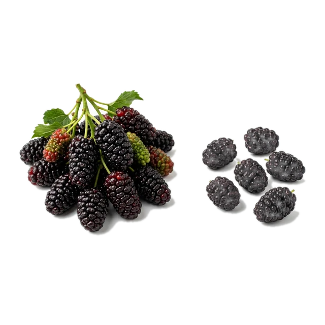 Mulberries, raw