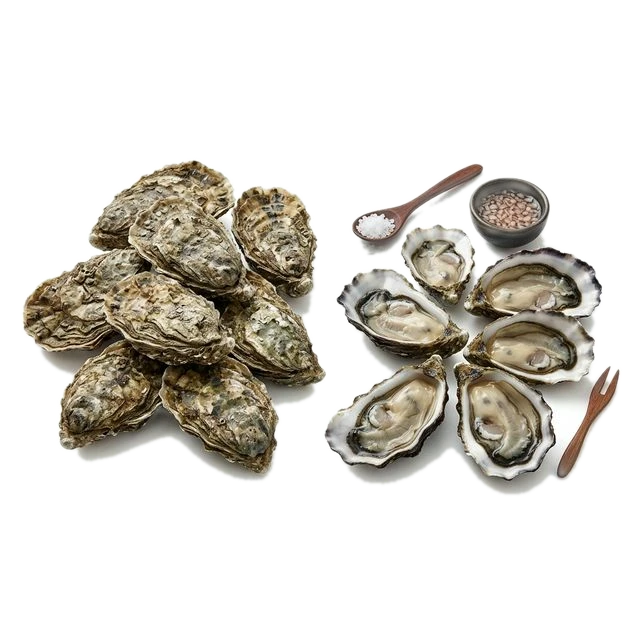 Oysters, raw