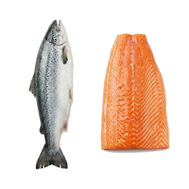 Salmon, raw