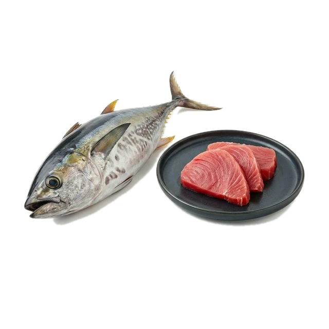 Tuna, fresh, raw
